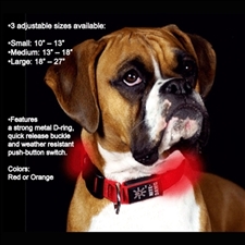 Nite Dawg LED Dog Collar